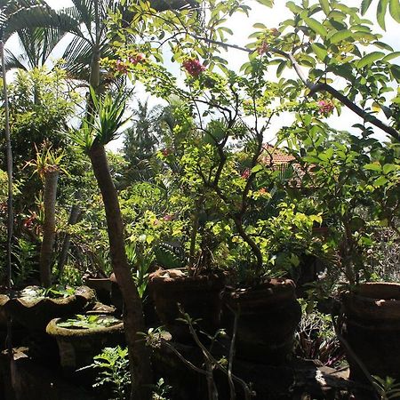 Raditia Homestay Ubud  Luaran gambar