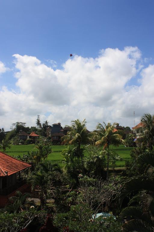 Raditia Homestay Ubud  Bilik gambar