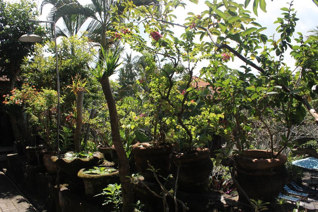 Raditia Homestay Ubud  Luaran gambar